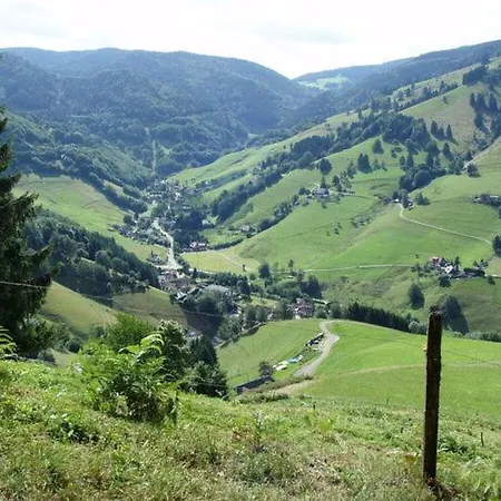 Steiger 3 * Münstertal